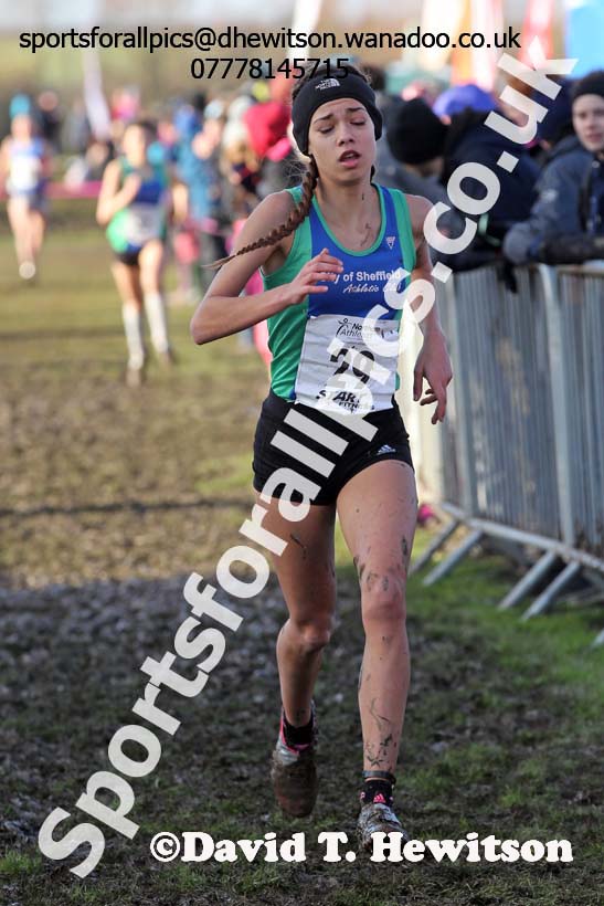 Girls under-15s Northern Cross Country  Championships, Pontefract. Photo: David T. Hewitson/Sports for All Pics